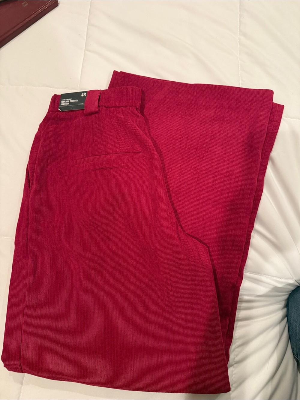 Express Wide Leg Corduroy Pants in Raspberry